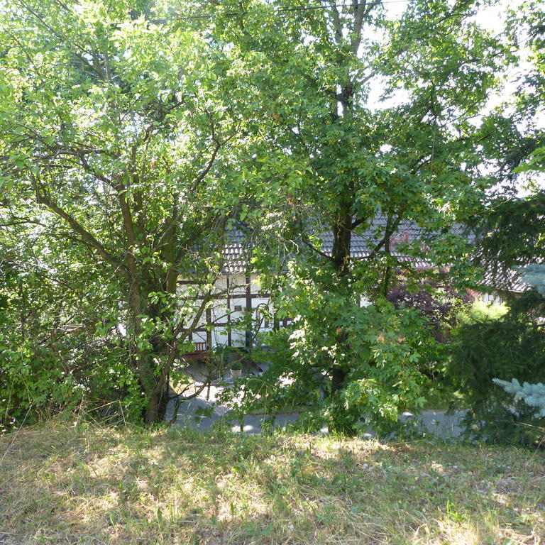 Pension Ridder Marienmunster Екстер'єр фото